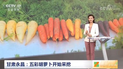 永昌县:电商直播助力农产品销售